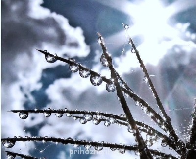 Аватарки. Наши интернет-лица - 360v0eimKlM.jpg