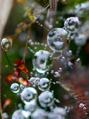 Аватарки. Наши интернет-лица - IcqfiLqwNCo.jpg