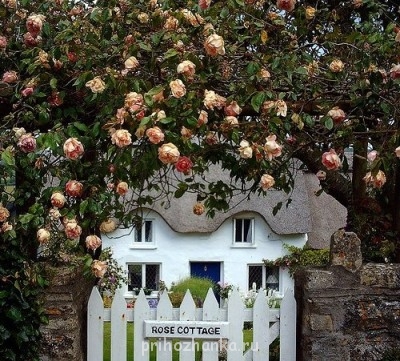 Аватарки. Наши интернет-лица - bersUsS24k4.jpg