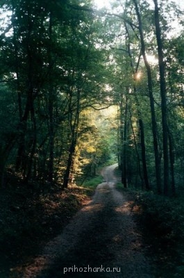 Аватарки. Наши интернет-лица - wM5AIB3USRg.jpg