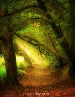 Аватарки. Наши интернет-лица - 9rQDy9t_754.jpg