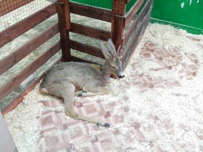 Чем сегодня занимались ваши дети? - IMG_20140405_143342.jpg