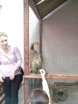 Чем сегодня занимались ваши дети? - IMG_20140405_143036.jpg