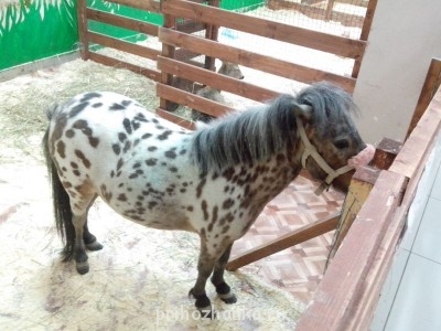 Чем сегодня занимались ваши дети? - IMG_20140405_143400.jpg