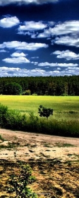 Аватарки. Наши интернет-лица - B88BBAD7F966-12.jpg