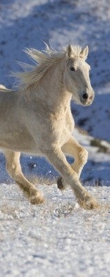 Аватарки. Наши интернет-лица - F5FA7D554B1D-12.jpg