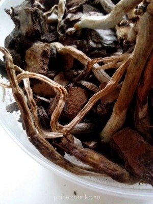 Мои комнатные растения. - 2014-05-о15.jpg