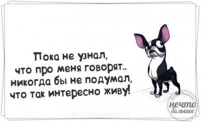 ВСЁ обо ВСЁМ или наши флудилки - wjJR3hbXies.jpg