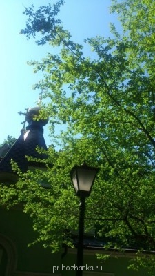 Еду в паломничество.Записки. - DSC_2430.JPG