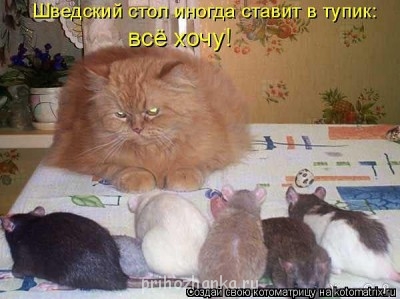 Cмешное из жизни животных. Фото и видео из интернета. - ролage.jpg