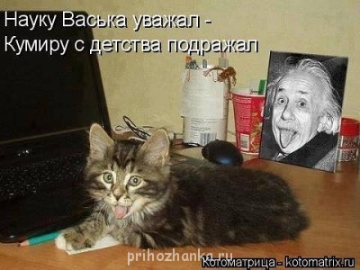 Cмешное из жизни животных. Фото и видео из интернета. - getкенгшщImage.jpg