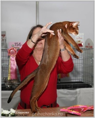 на выставке