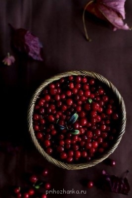 Аватарки. Наши интернет-лица - K7hSi8q9784.jpg