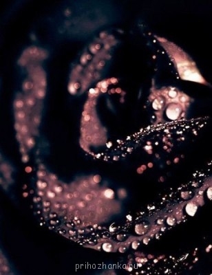 Аватарки. Наши интернет-лица - MvsfOl5A2dw.jpg