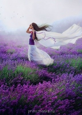 Аватарки. Наши интернет-лица - PCJvFJUEPuo.jpg