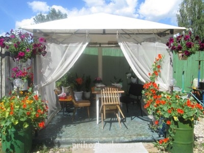 Декоративные садовые растения. - IMG_0002.jpg