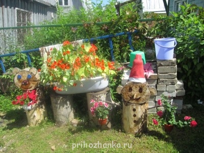 Декоративные садовые растения. - IMG_0003.jpg