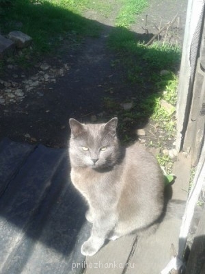 Кого из животных вы содержите? Фото приветствуется. - 20140509_144658.jpg