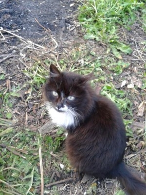 Кого из животных вы содержите? Фото приветствуется. - 20140511_193618.jpg