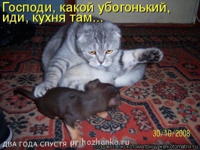 Доброго утра Хорошего дня Спокойной ночи  - 09cb5016db7a (1).jpg