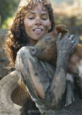 Чем сегодня занимались? - image.jpg