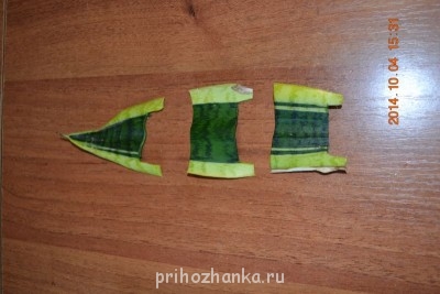 Мои комнатные растения. - DSC_3790.JPG