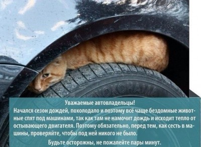 Что нам попалось в мировой сети... - GChz_y3yO5U.jpg