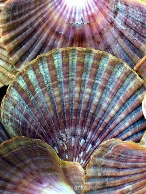 Шебби шик: старим вещи , мебель - sSrwPE6Ik_o.jpg