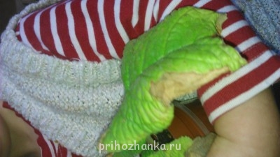 Мои комнатные растения. - DSC_0755.JPG