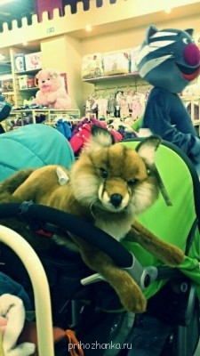 Чем сегодня занимались? - 43908_original.jpg