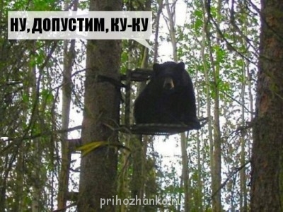 Из ВКонтактика с приветиком  - jkbBWnCZXhk.jpg