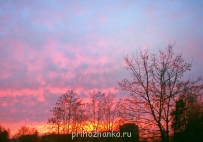 Чем сегодня занимались? - 45128_original.jpg