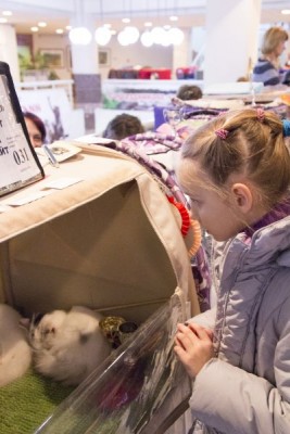 Чем сегодня занимались ваши дети? - IMG_1797.JPG