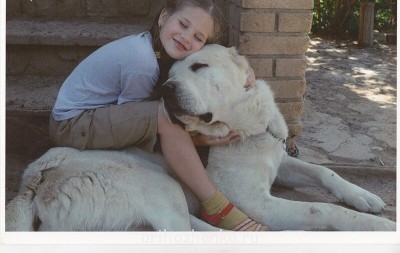 Клуб кинологов-любителей - image.jpg