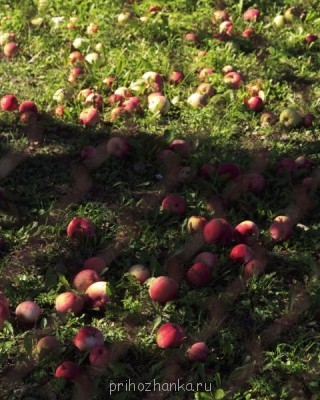 Кофе. Как без него жить?  - IMG_7540.JPG