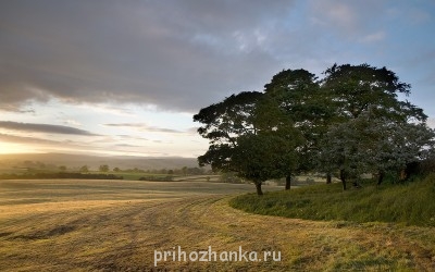 Изречения Святых отцов и учителей Церкви - 0_7f3d2_e8dd1c40_XL.jpg