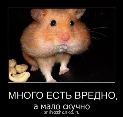 Из ВКонтактика с приветиком  - 0OqDHZfE2_A.jpg