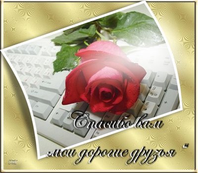 Аватарки. Наши интернет-лица - спосибо.jpg