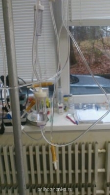 Хелп. Кошка обнаглела..или заболела? - 52153_original.jpg