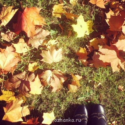 Прекрасная осень  - IMG_20141002_144624.jpg