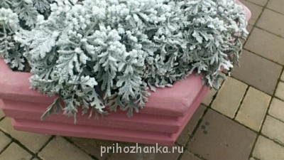 Поговорим о погоде - 53095_original.jpg