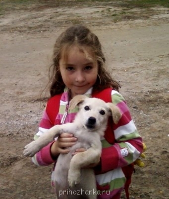 Кого из животных вы содержите? Фото приветствуется. - Фото-0127.jpg