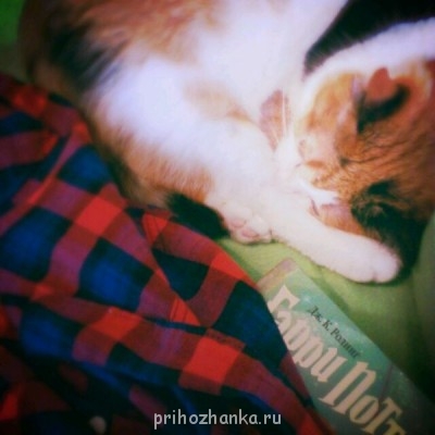 Чем сегодня занимались- 2 - 54550_original.jpg