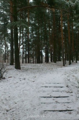 Чем сегодня занимались- 2 - 55117_original.jpg