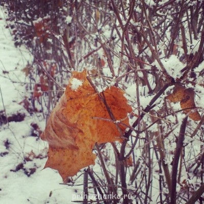 Чем сегодня занимались- 2 - 54991_original.jpg