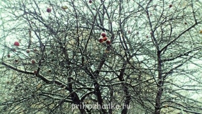 Чем сегодня занимались- 2 - 55591_original.jpg