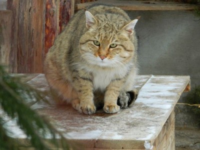 Аватарки. Наши интернет-лица - m-rTEmrxw2I.jpg