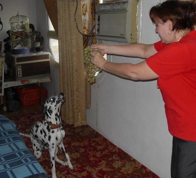 Особенности жизни в Средней Азии. - SDC133998.JPG