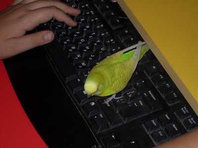 Кого из животных вы содержите? Фото приветствуется. - SDC11215.JPG