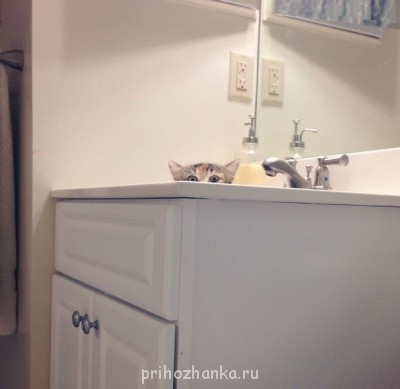 Из ВКонтактика с приветиком  - v8Fd1Q3S12E.jpg